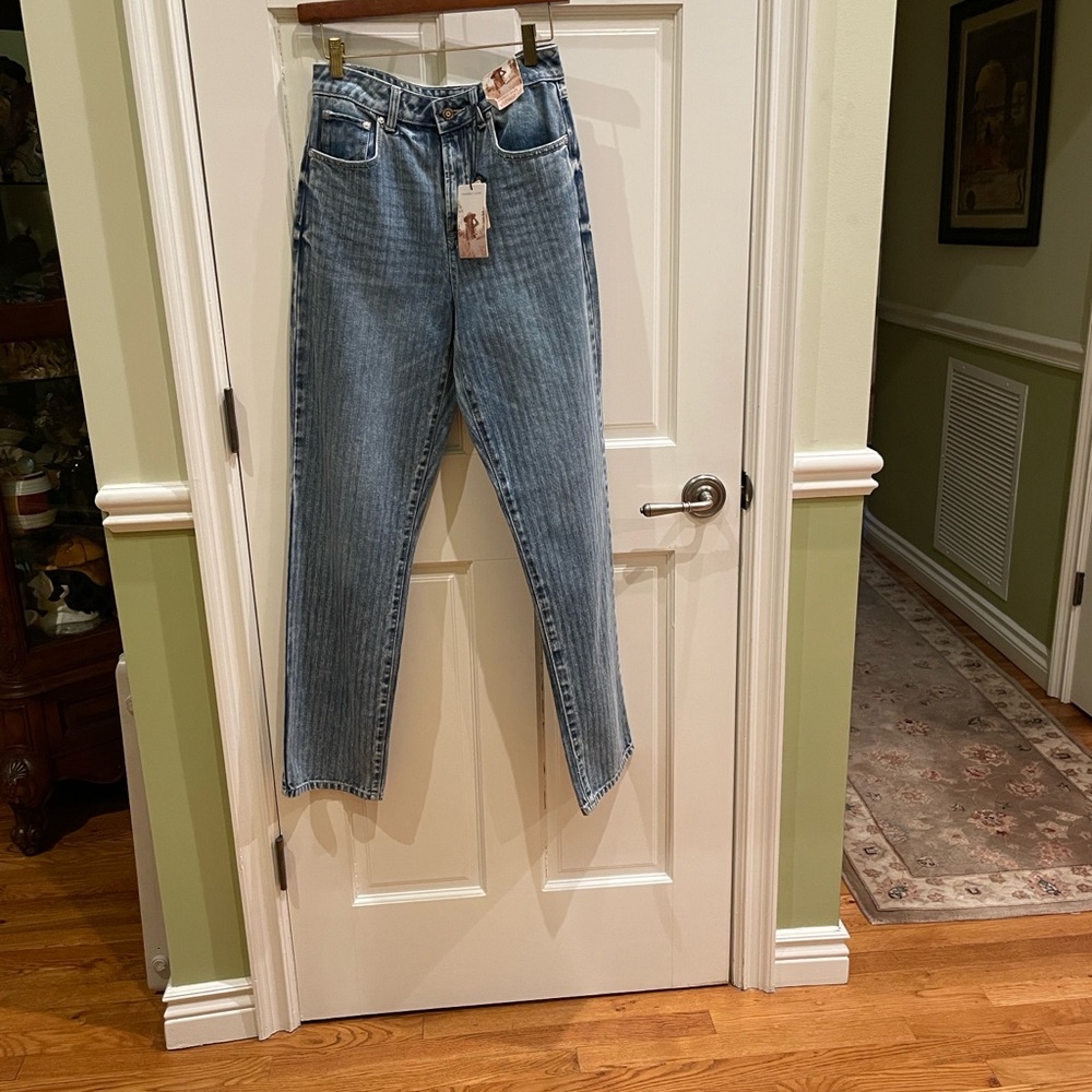 Sincerely Jules Stripe 90’s Straight leg Jeans Size 5/27 NWT